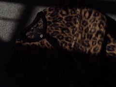 Massimo Etiketli Leopar Desen Hırka